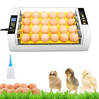 Incubadora Digital de Huevos Incubadora