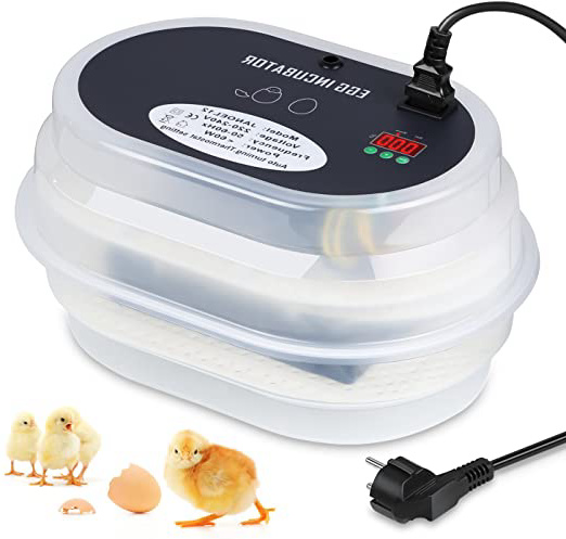 Amzdeal Incubadora Digital 9/12 de