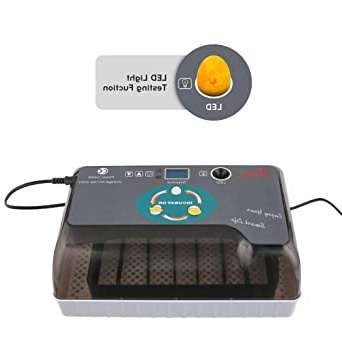 Incubadora Automática de 12 Huevos
