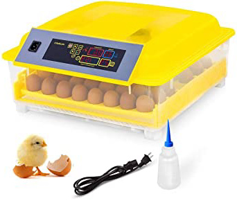 Incubadora Automática de Huevos con