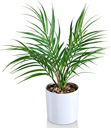 Kazeila Mini Plantas Falsas en