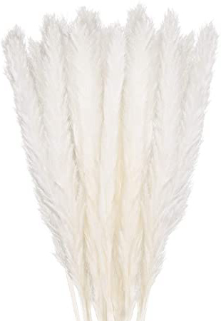 GoMaihe 30 Piezas Pampas Secas,