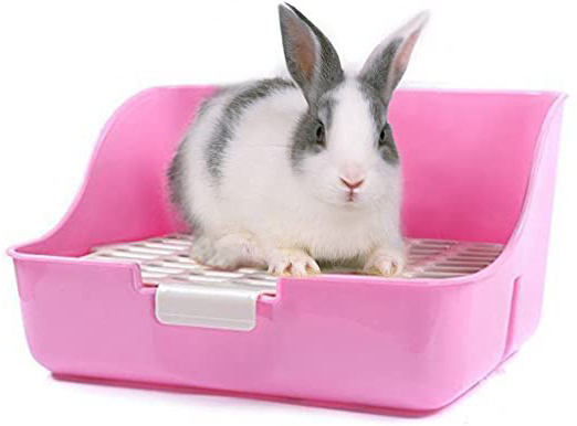 Rabbit Cage Litter Box Entrenador