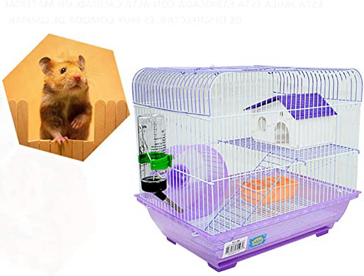 DI ZE LIN PET HOME
