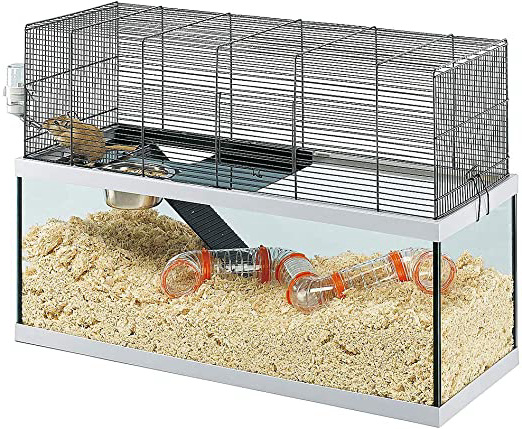 Feplast Jaula de Vidrio para Jerbos Gabry 80, Estructura de Dos Pisos, Accesorios Incluidos, 79 x 30.5 x 51.4 Cm, Negro