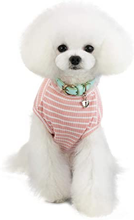 Harfkoko Jersey para Perro o
