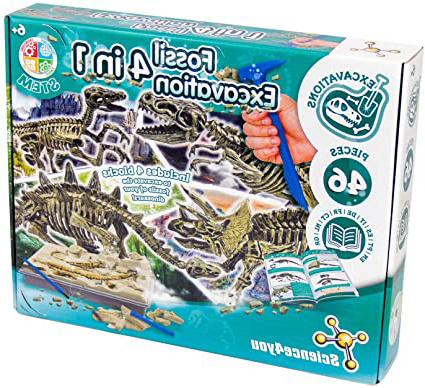 Science4you - Excavaciones Fósiles 4