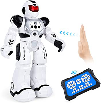 ARANEE Robot de Control Remoto,