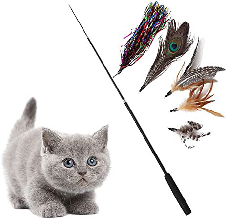 Juguete para Gatos con Teaser