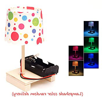 MOye Piccola Lampada Da Tavolo Colorata Esperimento Scientifico FAI-Da-Te Studente Giocattoli Educativi Gizmo Creativi