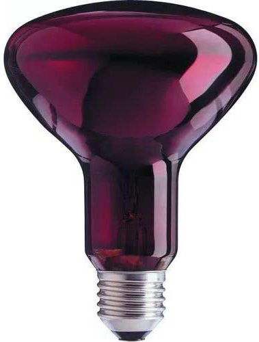 PHILIPS Infrared R-95 100W Rojo
