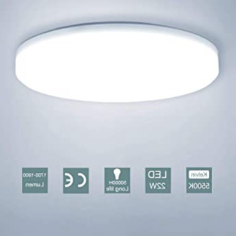 LED Lámpara de Techo,22W Moderna Plafón Led de Techo Redonda Ultra Delgado Φ30 cm Impermeable 1900LM 5500K Baño Pasillo Cocina LED Plafón para Dormitorio Cocina Sala de Estar Comedor