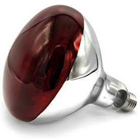 Bombilla de Calor infrarrojo 175w (Titan)