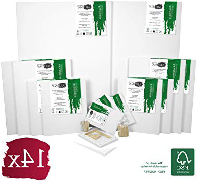 Artina Akademie FSC Set de 14 Lienzos con Bastidor - 50x70 cm, 30x40 cm, 24x30 cm, 13x18 cm - 100% Algodón 280g/m²