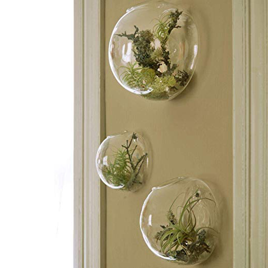 Juego de 3 jarrones de vidrio de pared, terrarios de pared de burbujas, terrarios de vidrio soplado, macetas de interior, soportes para plantas de aire, macetas de pared suculentas (sin plantas)