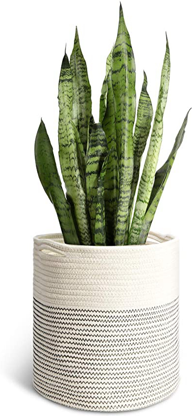 Mkouo Cuerda de algodón Tejida Canasta de Plantas for 28cm Maceta de Flores Jardineras de Interior, 31cm x 31cm Organizador de la Cesta de Almacenamiento Decoración del hogar Moderno