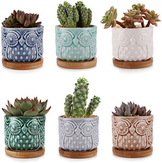 ComSaf Planta Maceta de Suculento Blanco 6.6 CM Paquete de 6, Cactus Maceteros de Ventana Cajas Decoración para Mesa de Comedor Sala de Estar Idea Regalo para Cumpleaños Boda Navidad