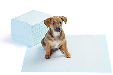 AmazonBasics - Toallitas de entrenamiento para mascotas (tamaño regular, 50 unidades)