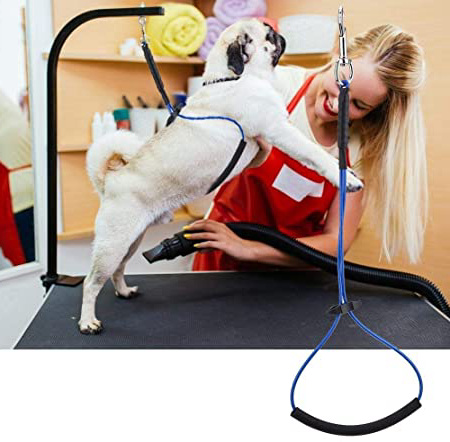 Peluquería para Perros Cuerda de