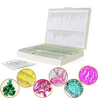 Portaobjetos de Microscopio Preparados Apto