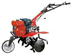 TodoHuertoyJardin - Motoazada 750 e