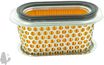 Greenstar 5566 Filtro de Aire para