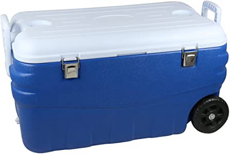 Cao 464 Nevera portátil Unisex, Azul/Blanco
