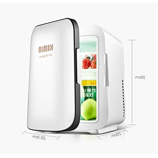 ZYL-IL 12V refrigerador Portable Auto del refrigerador del Recorrido del refrigerador del Coche Mini Camping cosmética 4L portátil Coche Nevera Mini frigorífico (Nombre Color: Blanco)