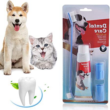 SEGMINISMART Pasta de Dientes para