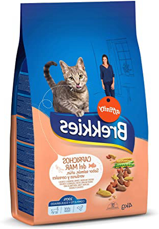 BREKKIES EXCEL alimento para gatos