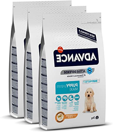 ADVANCE Puppy Maxi - Pienso