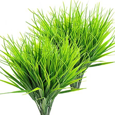 Liseng 8 unidades de plantas