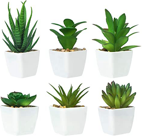 Ouddy 6 Piezas de Plantas