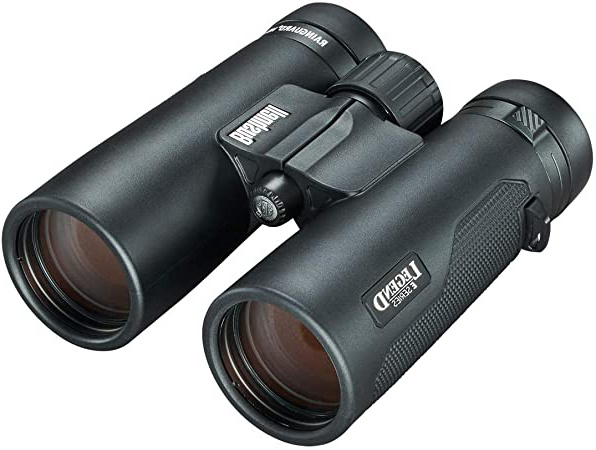 Bushnell Legend Serie E 10