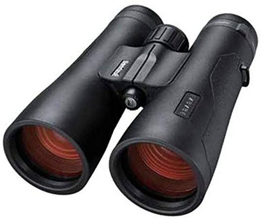 Bushnell Prismáticos Engage, 10 x