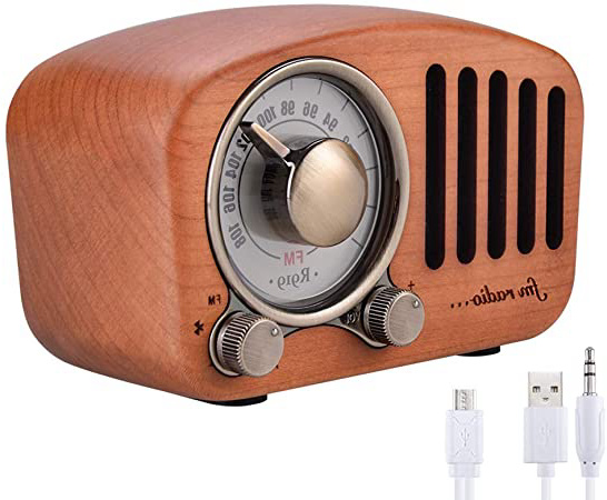 Qoosea Radio Portátil Altavoces Bluetooth