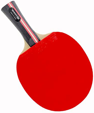 XGGYO Profesional Raquetas de Tenis