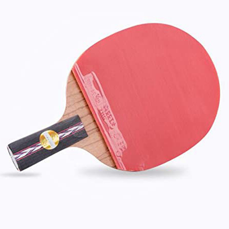 XGGYO Profesional Palas Tenis Mesa/Competencia