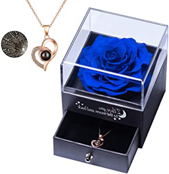 Rosa Real preservada con Collar