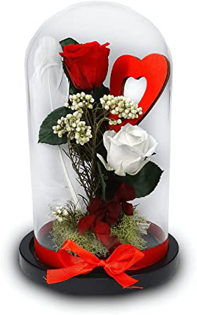 Cúpula Cristal – Flores -