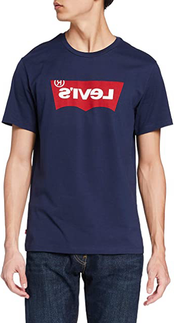 Levi's Graphic Set-in Neck Camiseta