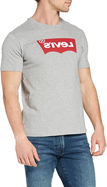 Levi's Graphic Set-in Neck Camiseta