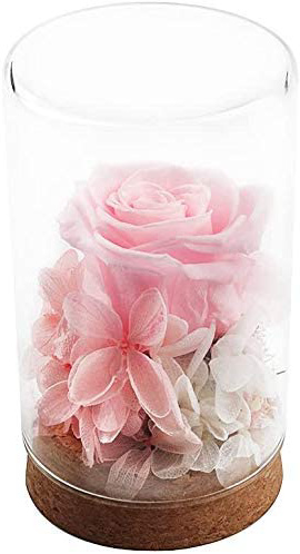 REAWUL Rosa de Flores Preservadas - Idea de Regalo para Ella, Rosas Nunca Marchitas Rosa Eterna para Niñas, Regalo para el Día de San Valentín Aniversario Navidad Cumpleaños Boda Vacaciones