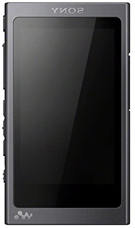 Sony NWA45 - Reproductor de Audio Walkman (16 GB, Hi-Res Audio, DSD, DSEE HX, S-Master HX, NFC, Noise Cancelling Digital, 45 Horas de reproducción de música), Negro grisáceo
