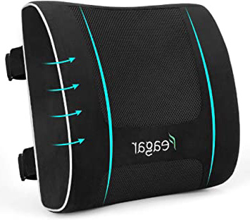 Feagar Cojin Lumbar Coche, Respaldo