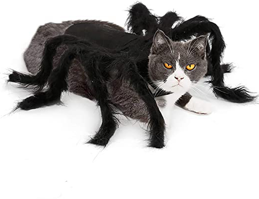 Geneic Disfraces de Halloween para Perros Gatos Mascotas Ropa Arañas Horribles Mascotas Divertidas Disfraz de Cosplay Pequeño Tamaño Mediano (M)