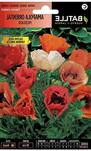 Semillas de Flores - Amapola Oriental Pizzicato - Batlle