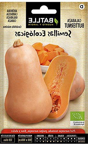 Semillas Ecológicas Hortícolas - Calabaza Butternut - ECO - Batlle