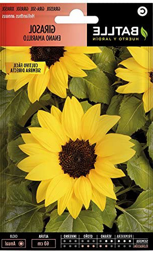 Semillas de Flores - Girasol