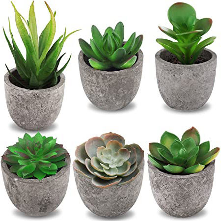Frasheng 6 Piezas de Plantas